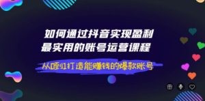 如何通过抖音实现盈利，最实用的账号运营课程 从0到1打造能赚钱的爆款账号 ... ...