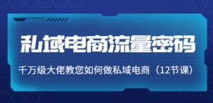 私域电商流量密码：千万级大佬教您如何做私域电商（12节课）