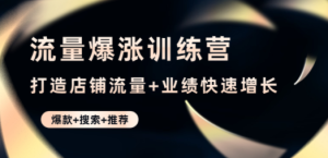 流量爆涨训练营：打造店铺流量+业绩快速增长 (爆款+搜索+推荐)