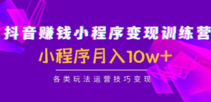 抖音赚钱小程序变现训练营：小程序月入10w+各类玩法运营技巧变现
