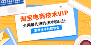 淘宝电商技术VIP，全网最先进的技术和玩法，靠谱技术包教包会