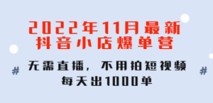 2022年11月最新抖音小店爆单训练营：无需直播，不用拍短视频，每天出1000单