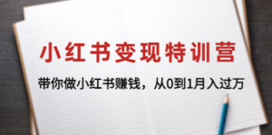 小红书变现特训营：带你做小红书赚钱，从0到1月入过万
