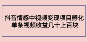 抖音情感中视频变现项目孵化 单条视频收益几十上百