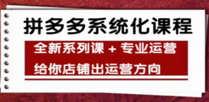 车神陪跑，拼多多系统化课程，全新系列课+专业运营给你店铺出运营方向