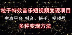 《粒子特效音乐短视频变现项目》主攻平台 抖音、快手、视频号 多种变现方法 ...