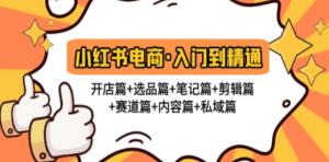 小红书电商入门到精通 开店篇+选品篇+笔记篇+剪辑篇+赛道篇+内容篇+私域篇