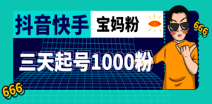 抖音快手三天起号涨粉1000宝妈粉丝的核心方法【详细玩法教程】