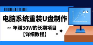电脑系统重装U盘制作，年赚30W的长期项目【详细教程】