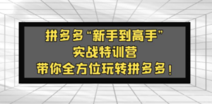 拼多多“新手到高手”实战特训营：带你全方位玩转拼多多