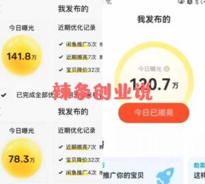 闲鱼大流量联盟玩法，单日引流200+，稳定日入1000+