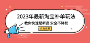 2023年最新淘宝补单玩法，教你快速起·新品，安全·不降权（18课时）