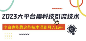 2023大平台黑科技引流技术 小白也能靠这些技术混到月入1w+29节课