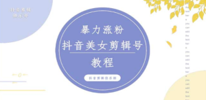 抖音快手暴力涨粉美女混剪视频教程 百分百过原创图片教程 附带违规申诉方法 ...