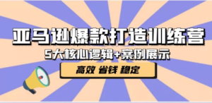 爆款打造训练营：5大核心逻辑+案例展示 打造爆款链接 高效 省钱 稳定