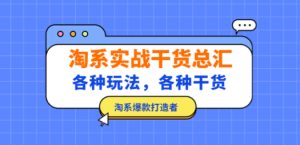 淘系实战干货总汇：各种玩法，各种干货，淘系爆款打造者