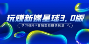 《玩赚新媒星球3.0版》学习各种IP营销变现赚钱玩法（价值498）