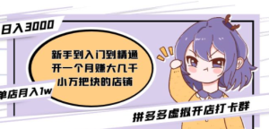 拼多多虚拟开店打卡群：入门到精通（昨日群里有小伙伴日入3000+）2月26更新 ...