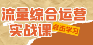 流量综合·运营实战课：短视频、本地生活、个人IP知识付费、直播带货运营