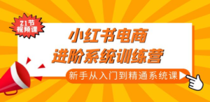 小红书电商进阶系统训练营：新手从入门到精通系统课（21节视频课）