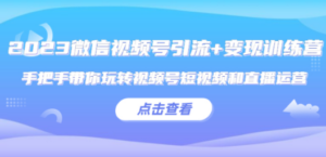 2023微信视频号引流+变现训练营：手把手带你玩转视频号短视频和直播运营!