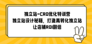 独立站-CRO优化特训营，独立站设计秘籍，打造高转化独立站，让店铺ROI翻倍