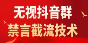 抖音粉丝群无视禁言截流技术，抖音黑科技，直接引流，0封号（教程+软件） ...