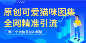 黑科技纯原创可爱猫咪图片，全网精准引流，实操5个VX号被加频繁