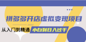 拼多多开店虚拟变现项目：入门到精通 从小白到日入1000（完整版）4月10更新 ...