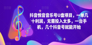抖音音乐号U盘项目 一单几十利润 无需投入太多 一台手机 几个抖音号就开始 ...