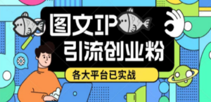 价值1688的ks dy 小红书图文ip引流实操课，日引50-100！各大平台已经实战