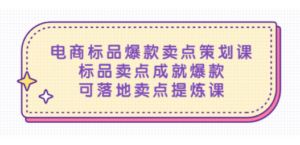 电商标品爆款卖点策划课，标品卖点成就爆款，可落地卖点提炼课