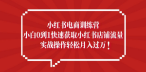 小红书电商训练营，小白0到1快速获取小红书店铺流量，实战操作月入过万