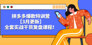 拼多多爆款特训营【3月更新】，全套实战干货​复盘课程