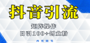 抖音引流术，矩阵操作，一天能引100多创业粉