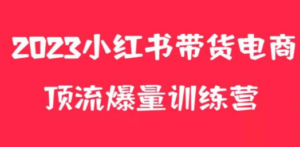 小红书电商爆量训练营，月入3W+！可复制的独家养生花茶系列玩法