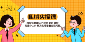 私域实战课程：精细化管理SOP 裂变 复购 转粉 打造个人IP 私域增量变现问题