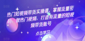 热门短视频带货实战 掌握流量密码 做热门视频 打造有流量的短视频带货账号 ...