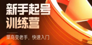 抖音电商-新手起号特训营，菜鸟变老手 快速入门 新手商家超全入门课程大全 ...