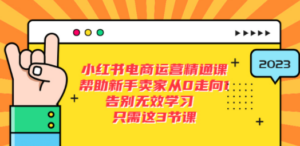 小红书电商·运营精通课，帮助新手卖家从0走向1 告别无效学习（7节视频课） ...