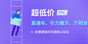 2023超低价·ppc—“直通车、引力魔方、万相台”全渠道·低价扫流核心玩法