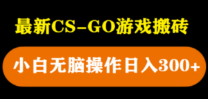 最新csgo游戏搬砖游戏，无需挂机小白无脑也能日入300+
