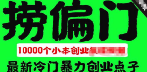 千款捞偏门小本创业小项目，总有一款适合你
