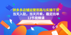 拼多多店铺运营思路与实操干货，当天入驻，当天开卖，稳定出单（13节课） ...