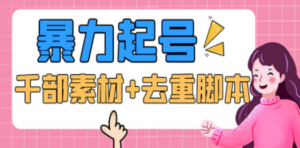 抖音暴力起号，短视频美女号起号项目+千部擦边资源+批量剪辑去重软件