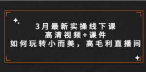 3月最新实操线下课高清视频+课件，如何玩转小而美，高毛利直播间