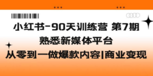 小红书-90天训练营-第7期，熟悉新媒体平台|从零到一做爆款内容|商业变现