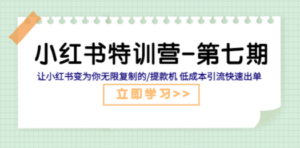 小红书特训营-第七期 让小红书变为你无限复制的/提款机 低成本引流快速出单 ...