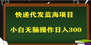 2023最新蓝海快递代发项目，小白零成本照抄也能日入300+