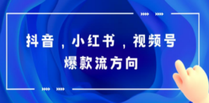 抖音，小红书，视频号爆款流视频制作，简单制作掌握流量密码